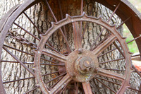 Rustic Wheel IMG_9129