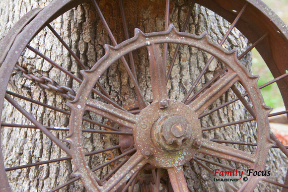 Rustic Wheel IMG_9129