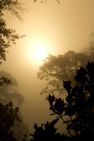 Foggy Sunrise 2 IMG_1732_8263