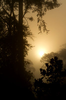 Foggy Sunrise 1 IMG_1730_8261